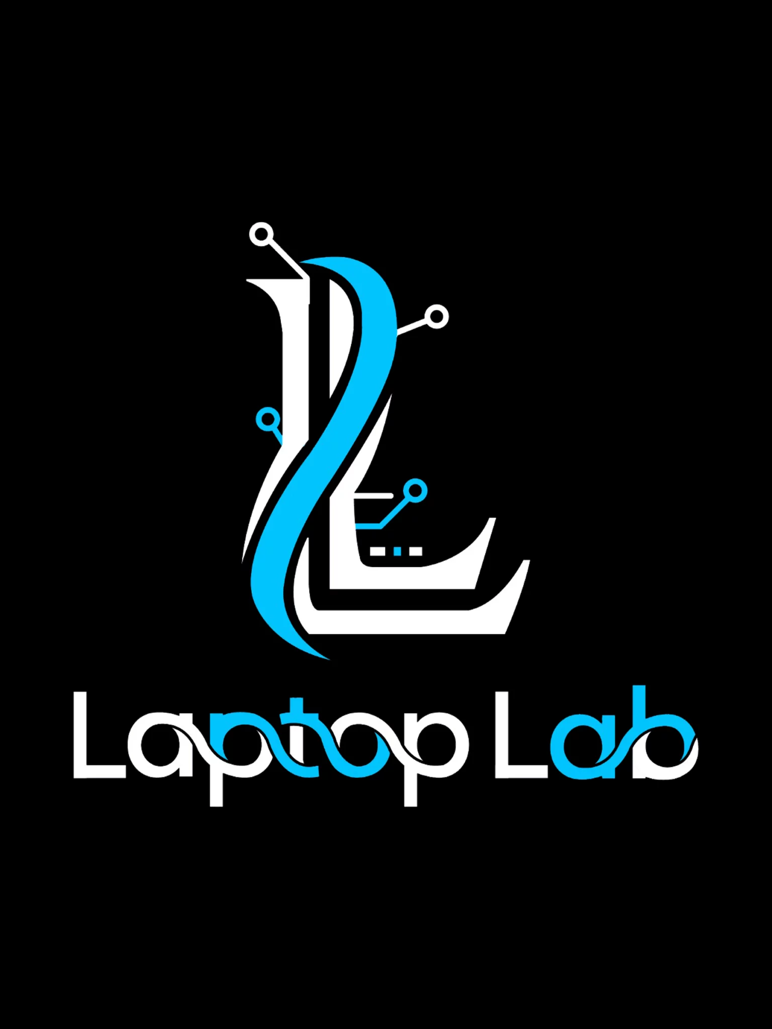 Laptop Lab Portfolio